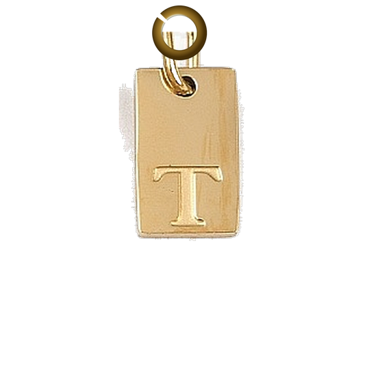 ENS-LTR011-T charm with jump ring