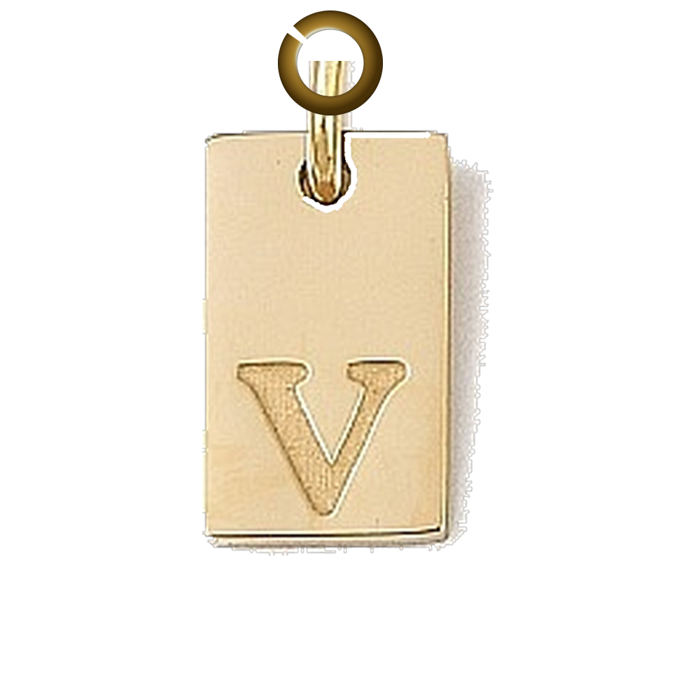 ENS-LTR011-U charm with jump ring