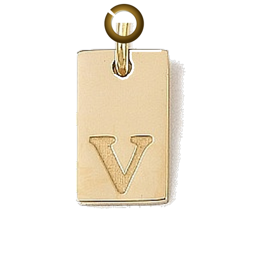 ENS-LTR011-U charm with jump ring