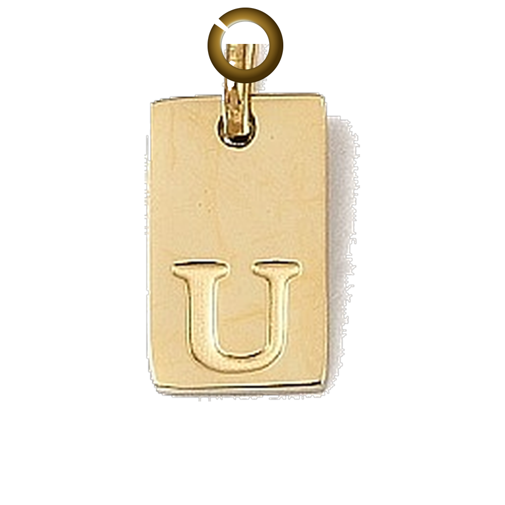 ENS-LTR011-V charm with jump ring