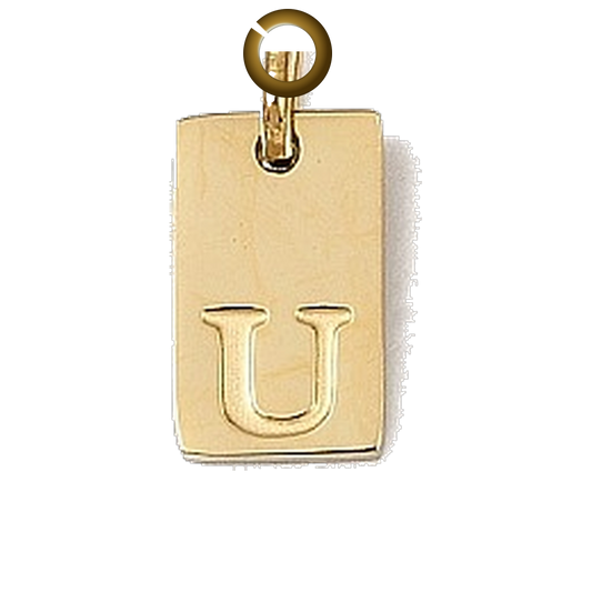 ENS-LTR011-V charm with jump ring