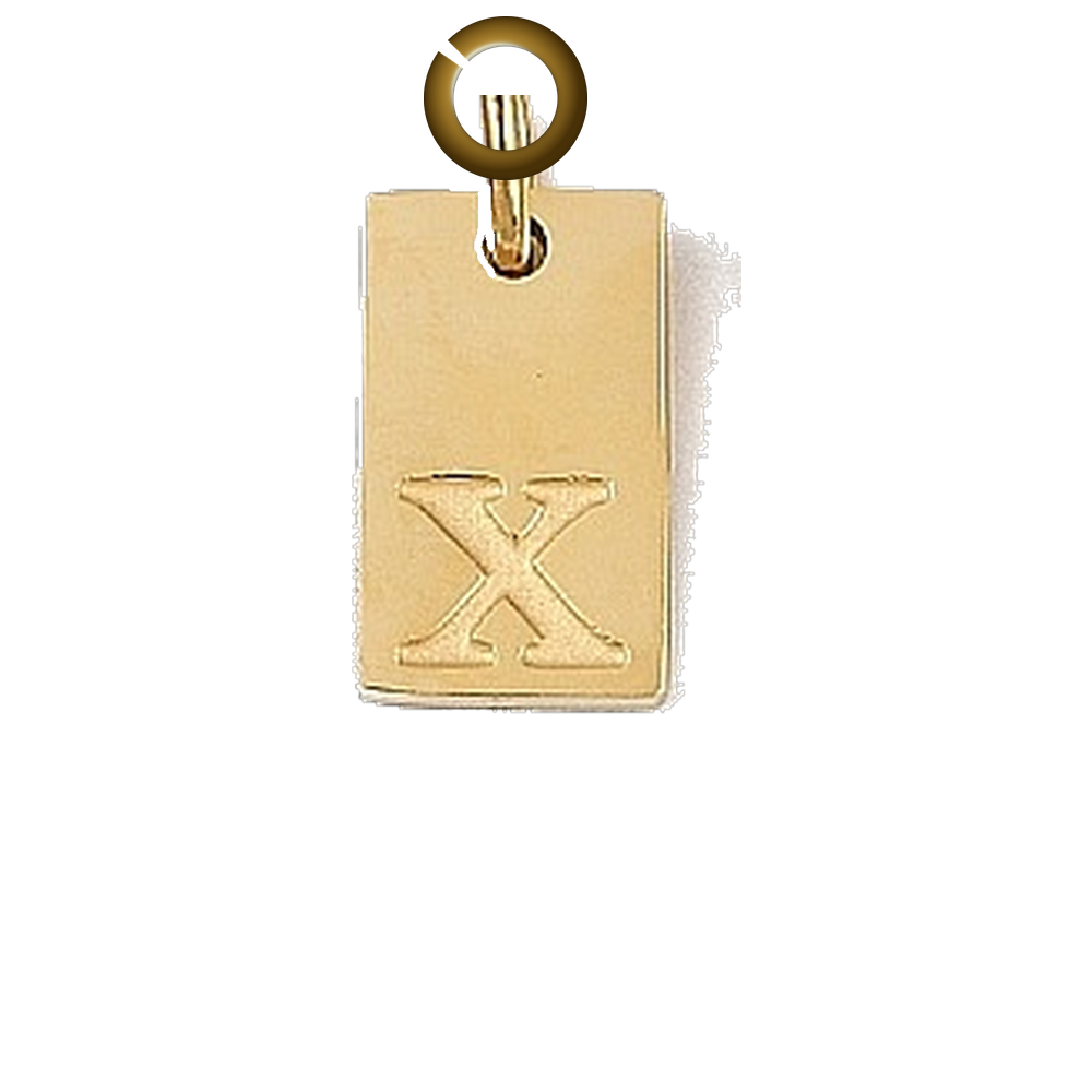 ENS-LTR011-X charm with jump ring