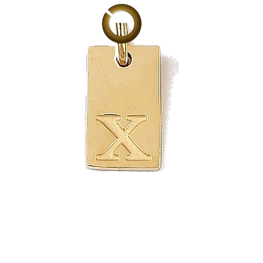 ENS-LTR011-X charm with jump ring