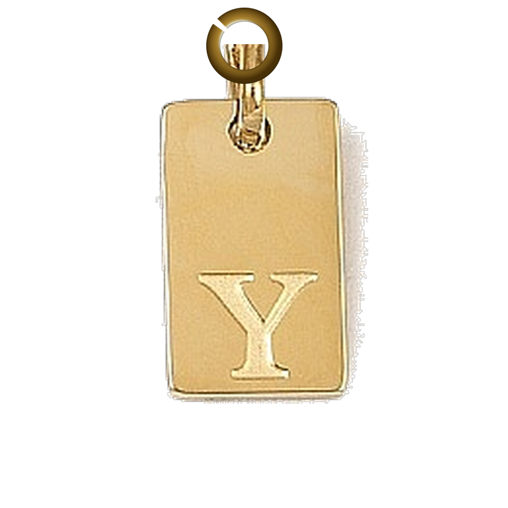 ENS-LTR011-Y charm with jump ring