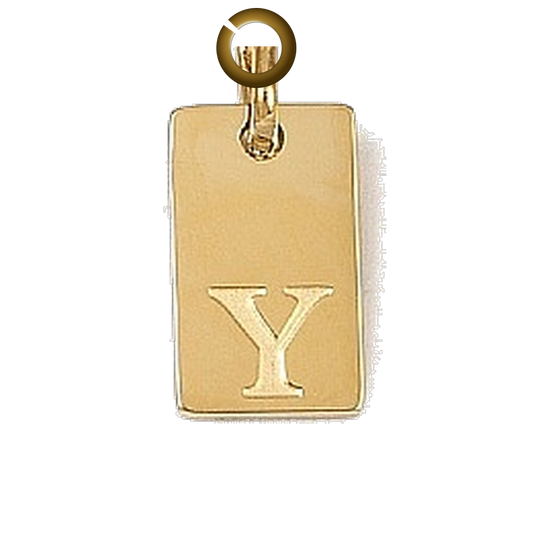 ENS-LTR011-Y charm with jump ring