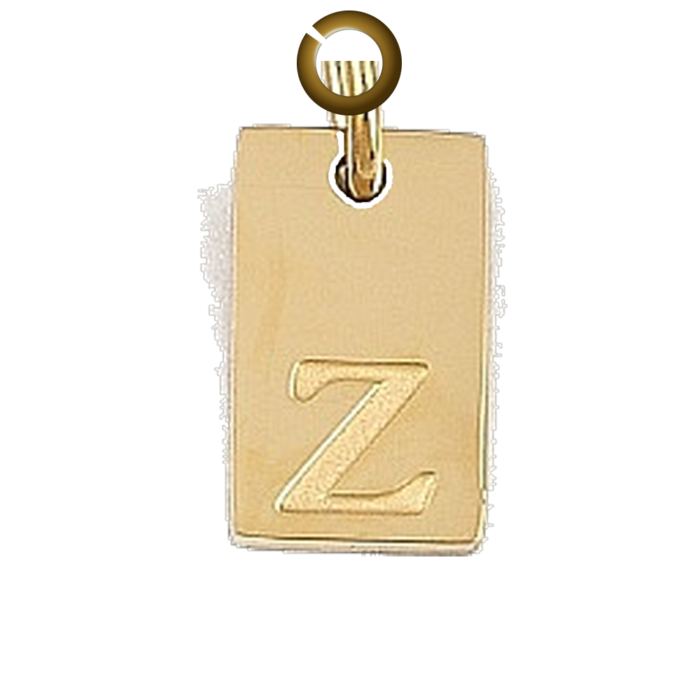 ENS-LTR011-Z charm with jump ring