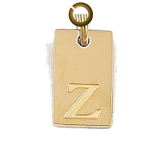 ENS-LTR011-Z charm with jump ring