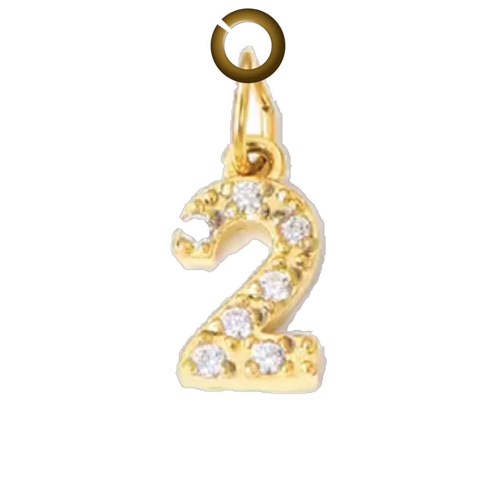 Gold Pave Number Charm - 2 charm with jump ring