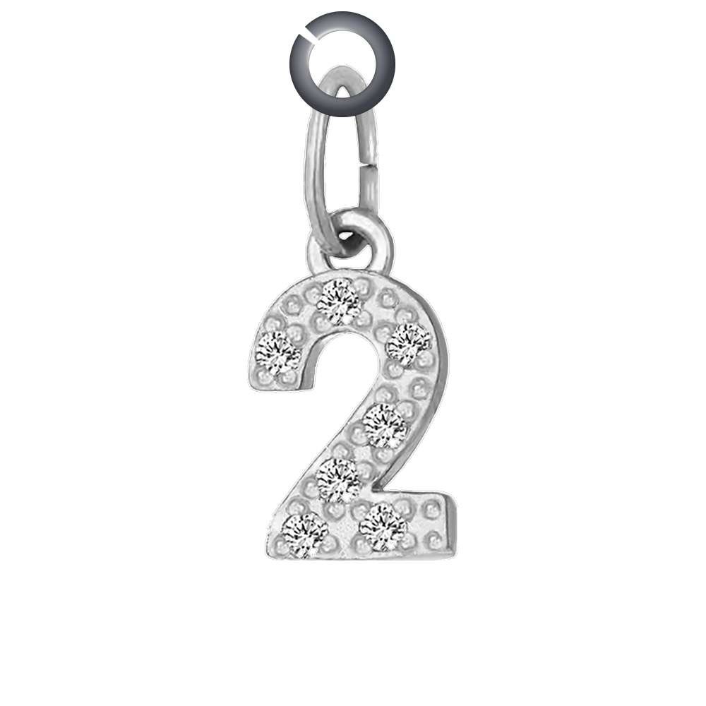 Silver Pave Number Charm - 2 charm with jump ring