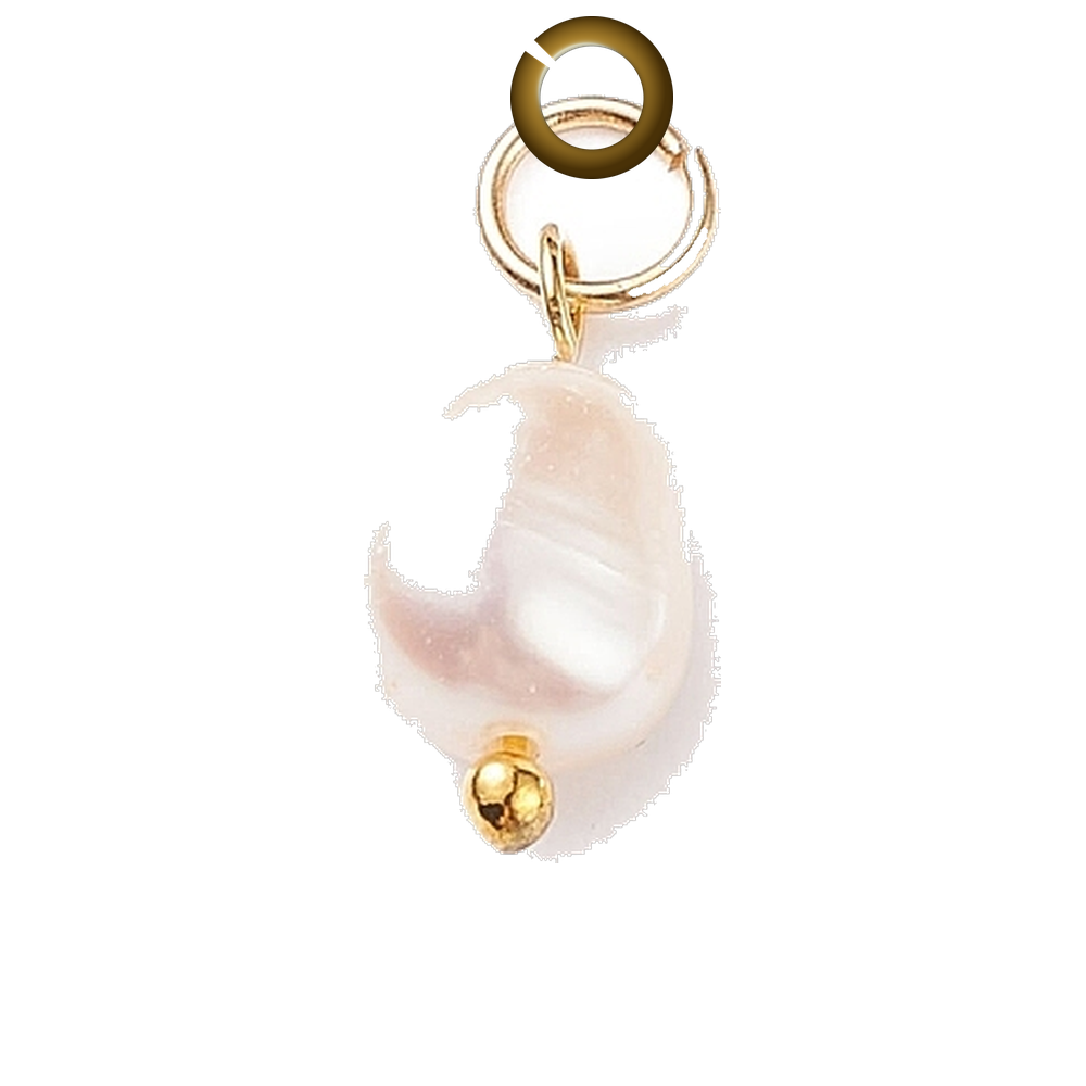 ENS-NOV003 charm with jump ring