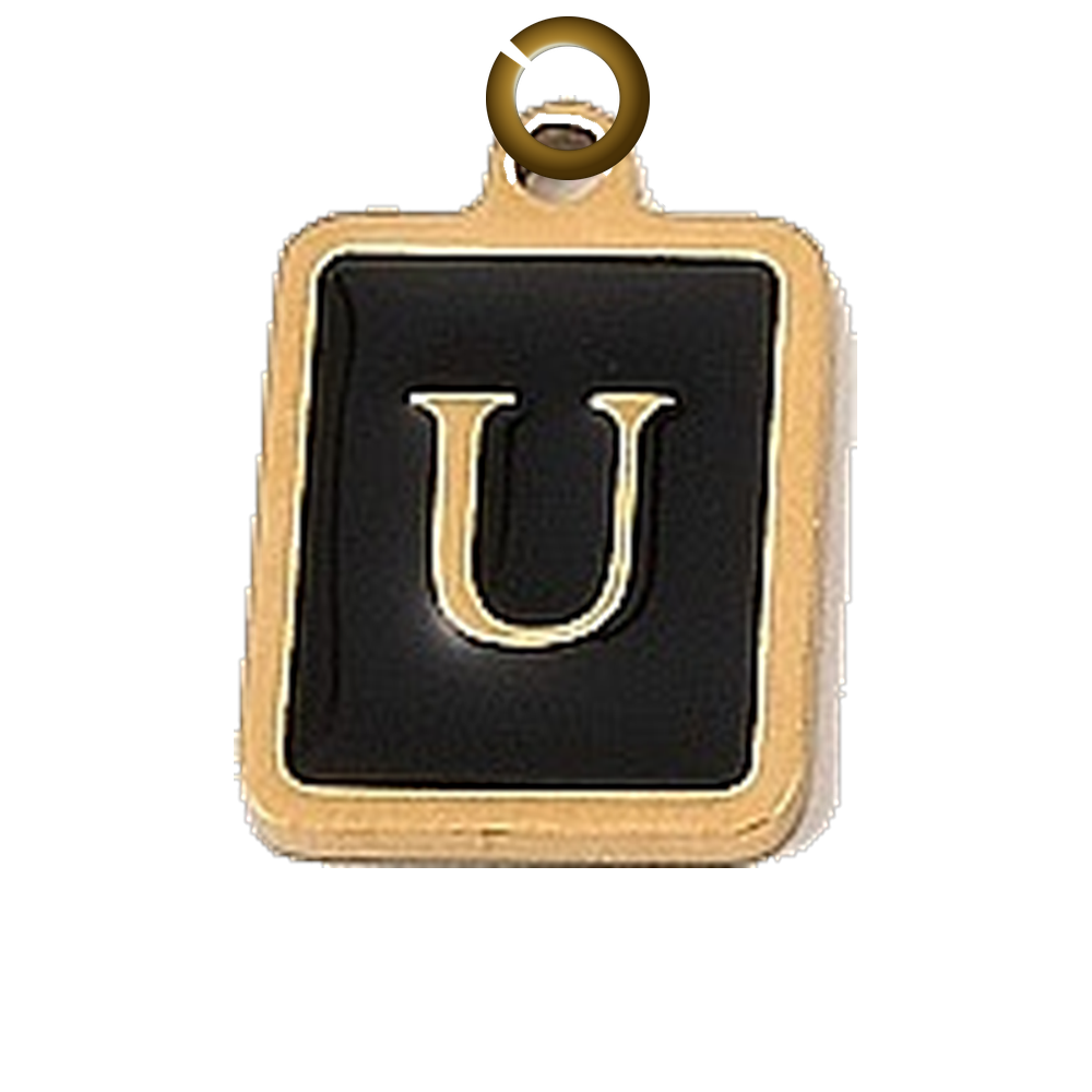 ENS-NOV011 charm with jump ring