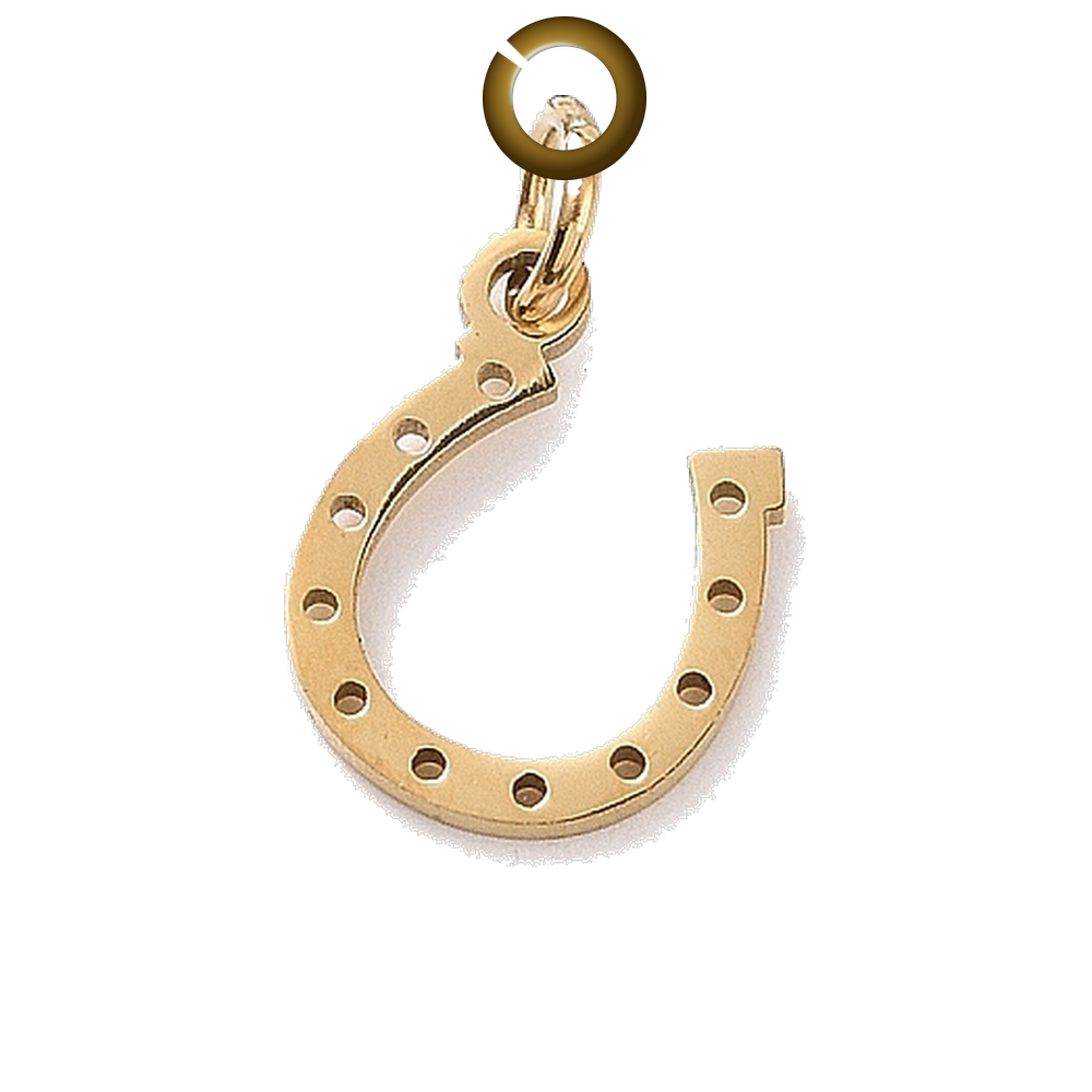 ENS-NOV013 charm with jump ring