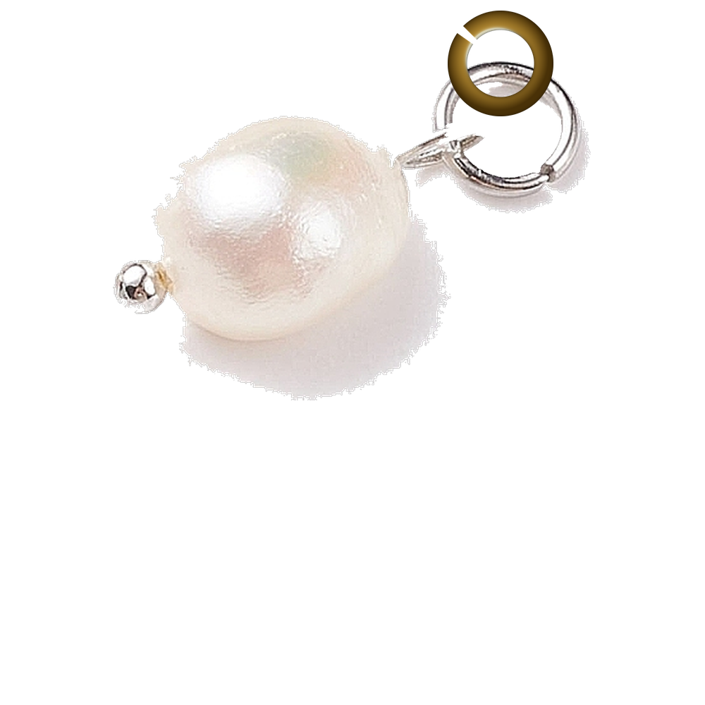 ENS-NOV015 charm with jump ring