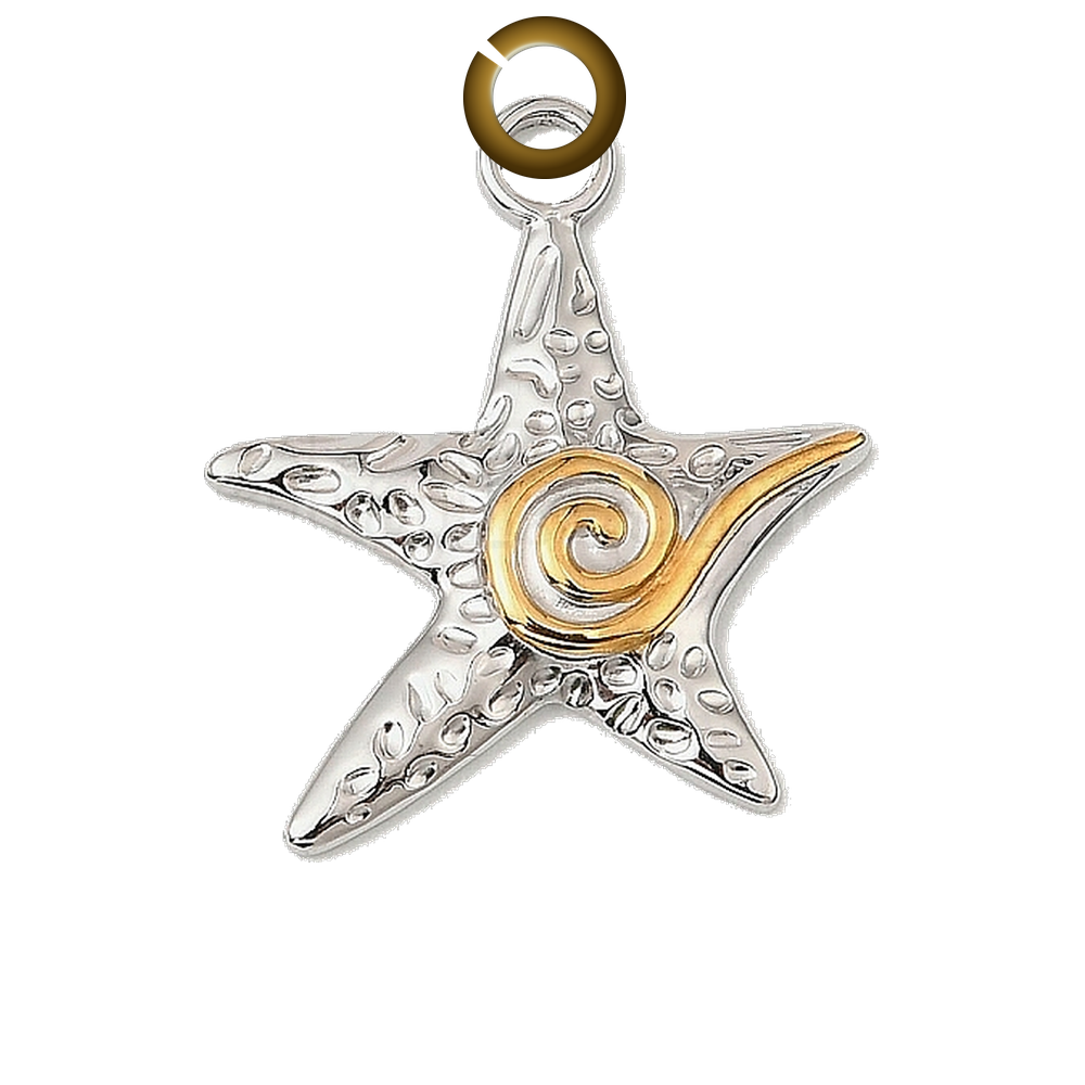 ENS-NOV022 charm with jump ring