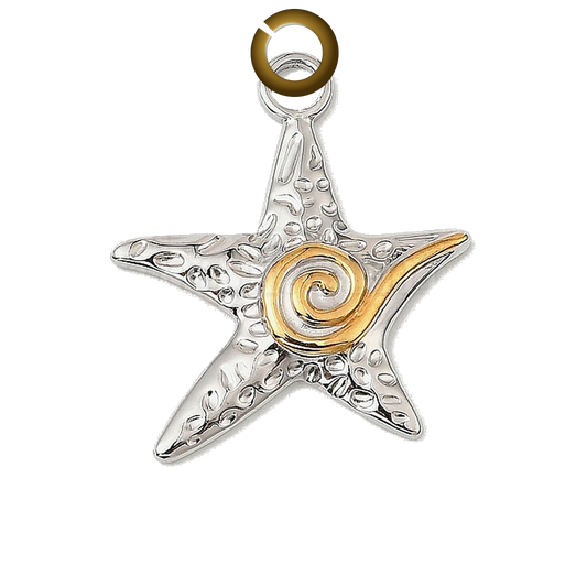 ENS-NOV022 charm with jump ring