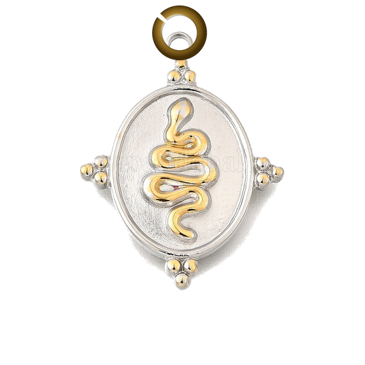 ENS-NOV023 charm with jump ring