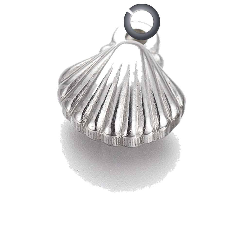 ENS-OCN009 charm with jump ring