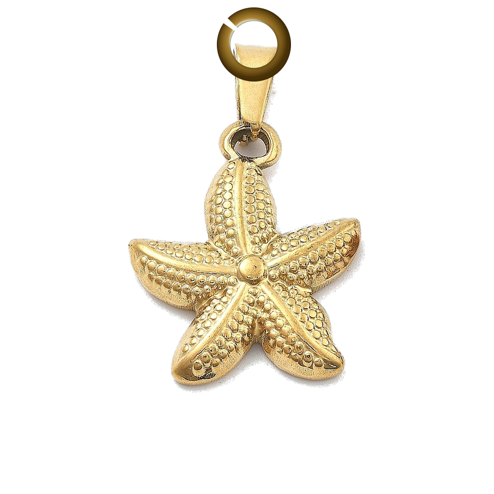 ENS-OCN013-GOL charm with jump ring