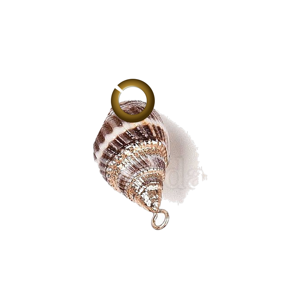 ENS-OCN015-GOL charm with jump ring