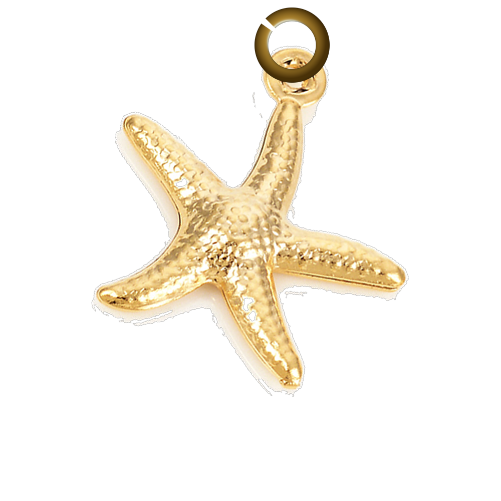 Starfish Charm charm with jump ring