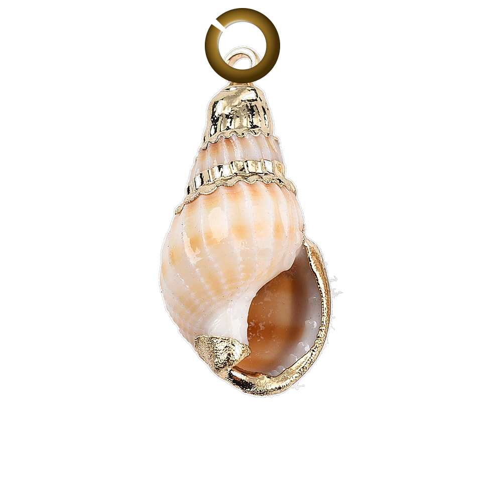 Spiral Shell Charm charm with jump ring