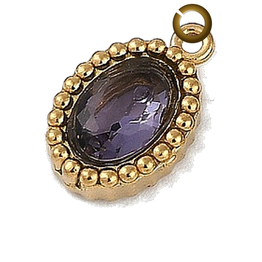 ENS-STN004 charm with jump ring