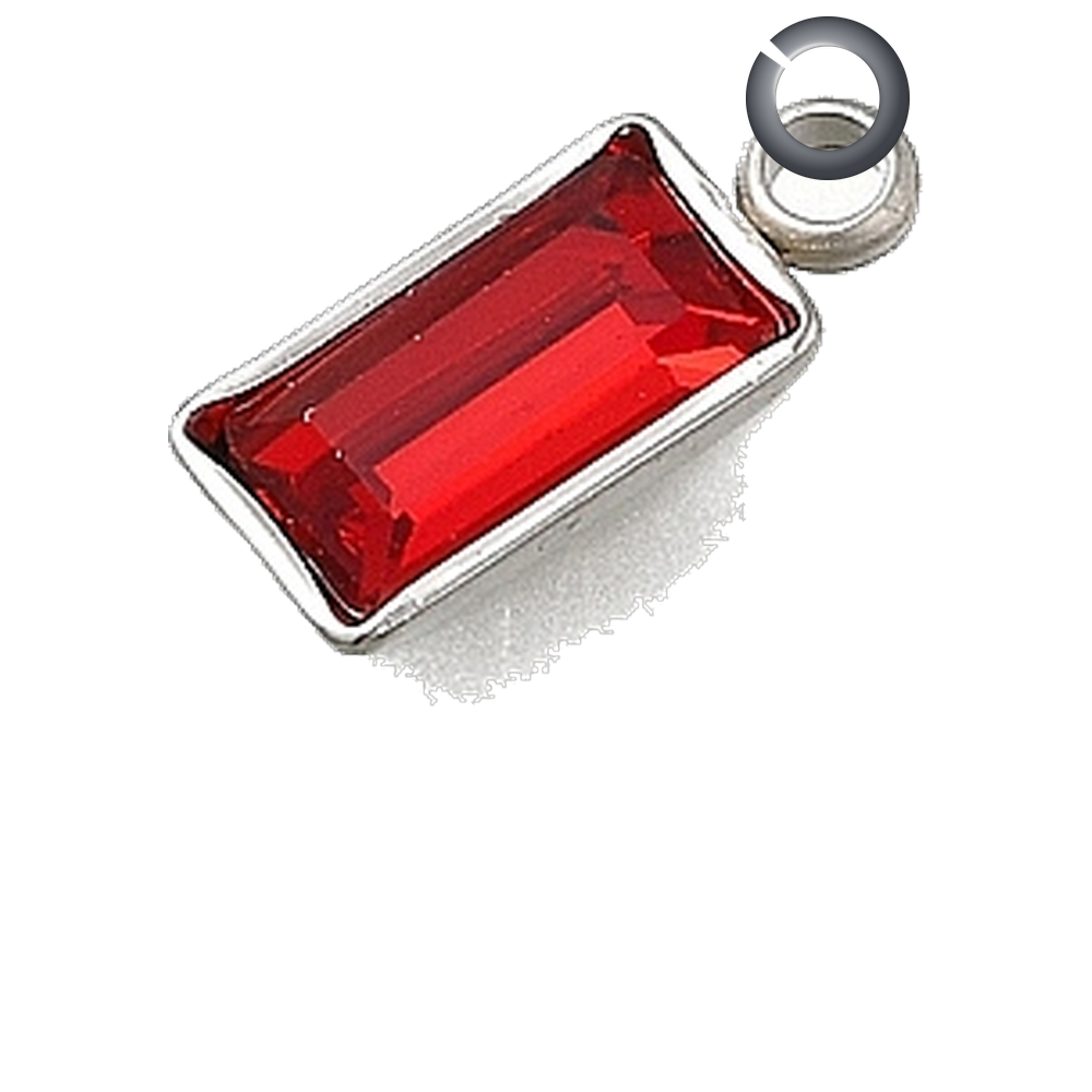 ENS-STN014 charm with jump ring