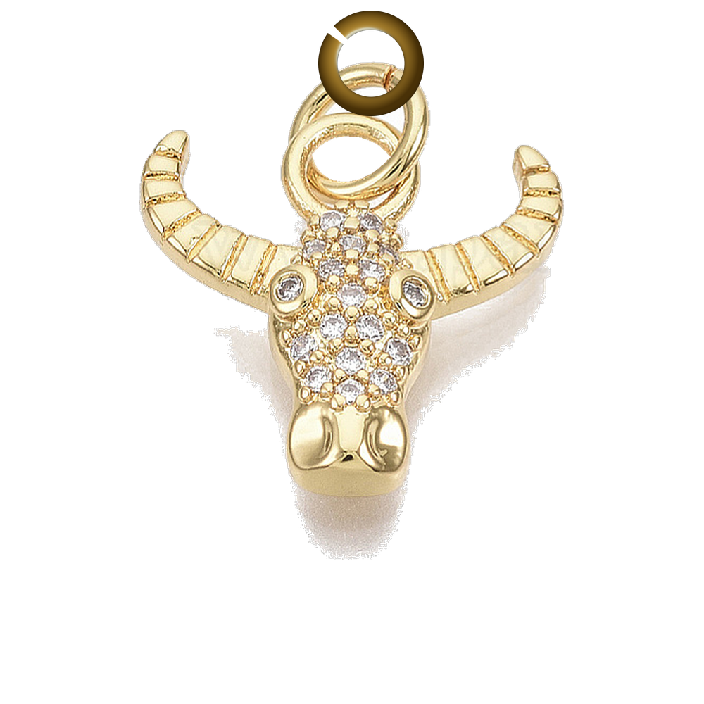 ENS-STN032 charm with jump ring