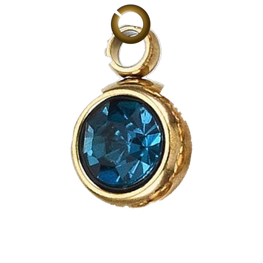 ENS-STN039-CAP charm with jump ring