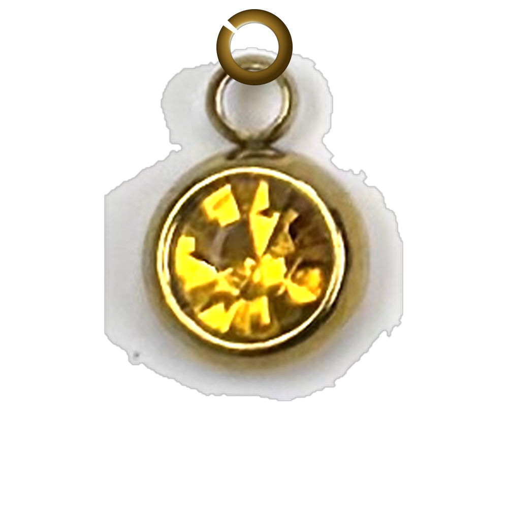 ENS-STN039-CIT charm with jump ring