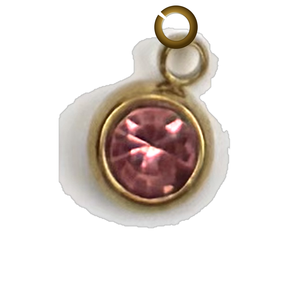 ENS-STN039-LRO charm with jump ring