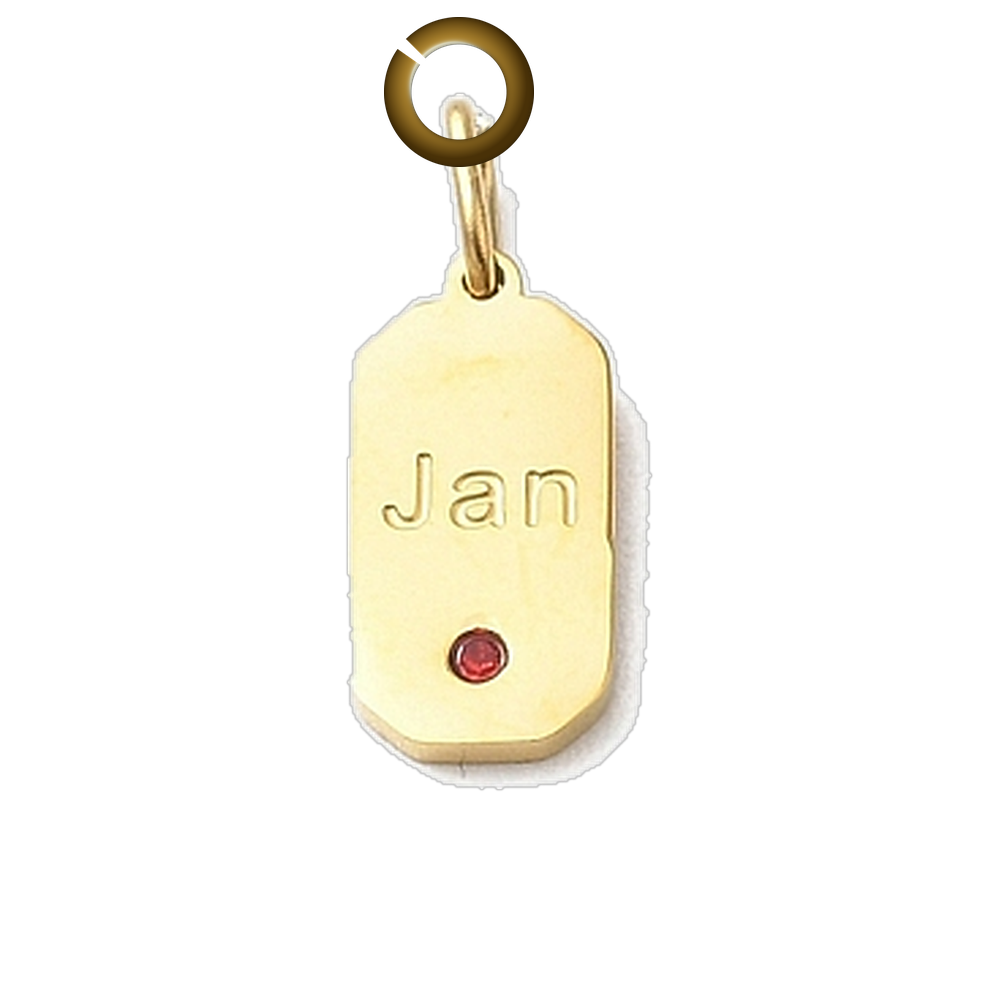 Month Birthstone Charm - Jan charm with jump ring
