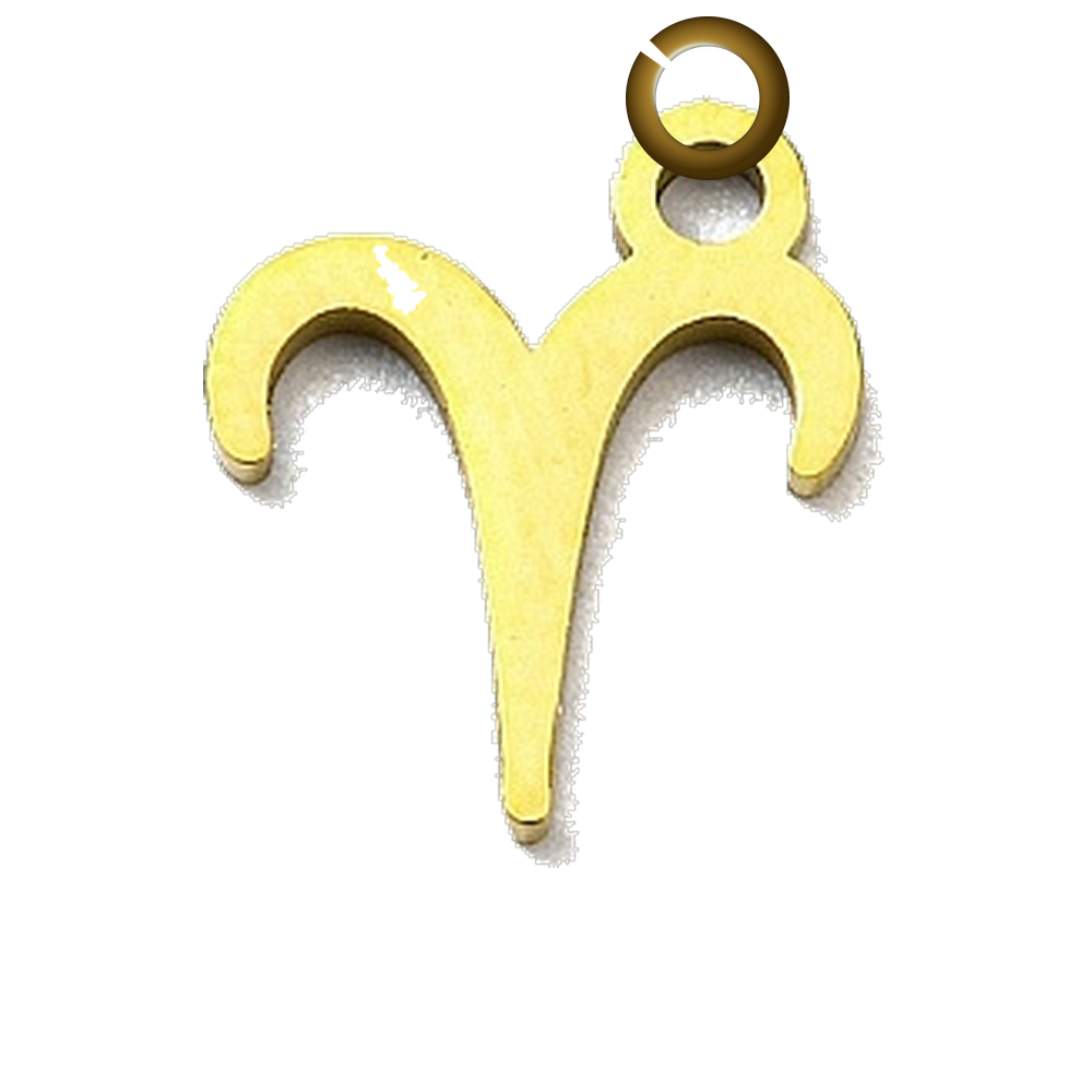 ENS-SYM003-ARI charm with jump ring