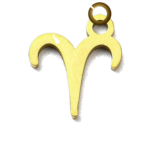 ENS-SYM003-ARI charm with jump ring
