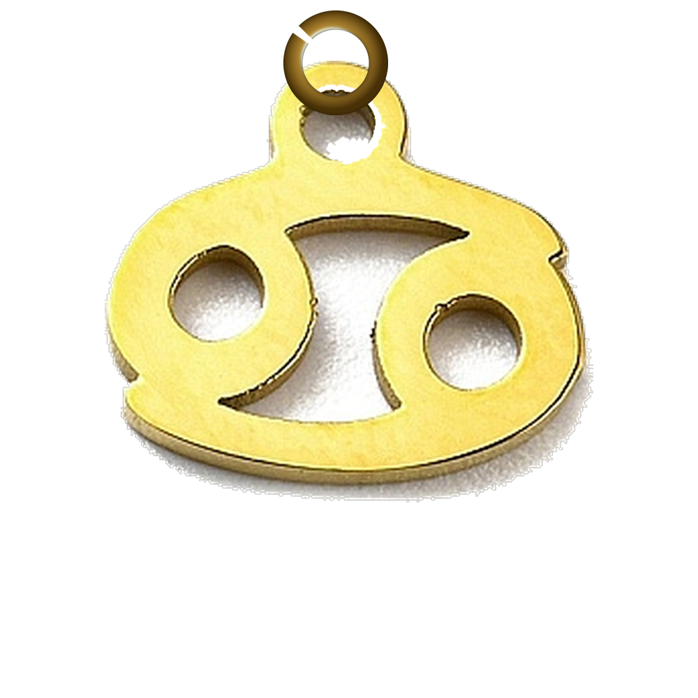ENS-SYM003-CAN charm with jump ring