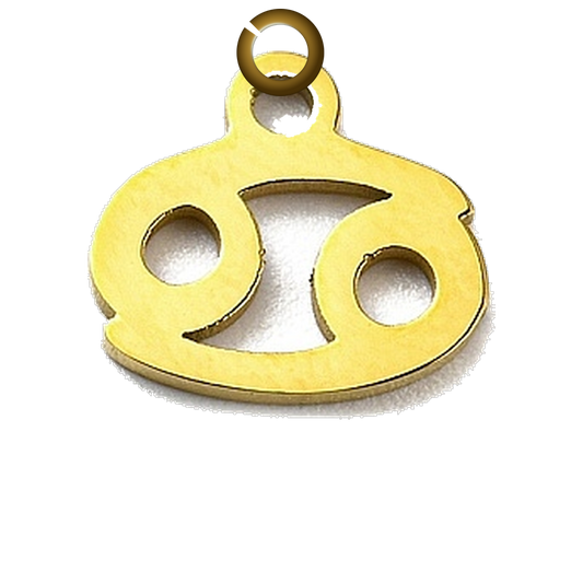 ENS-SYM003-CAN charm with jump ring