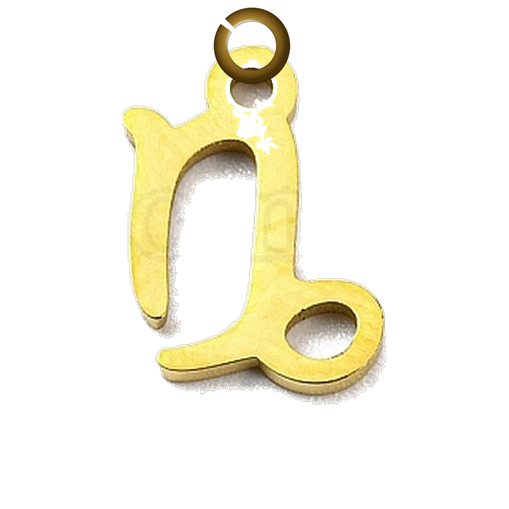 ENS-SYM003-CAP charm with jump ring