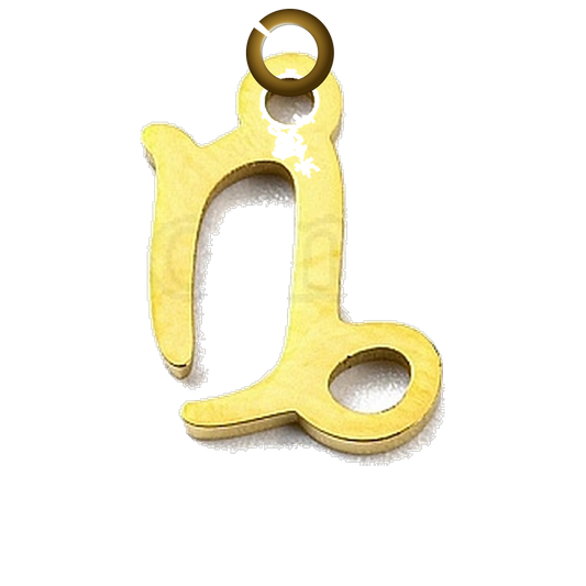 ENS-SYM003-CAP charm with jump ring