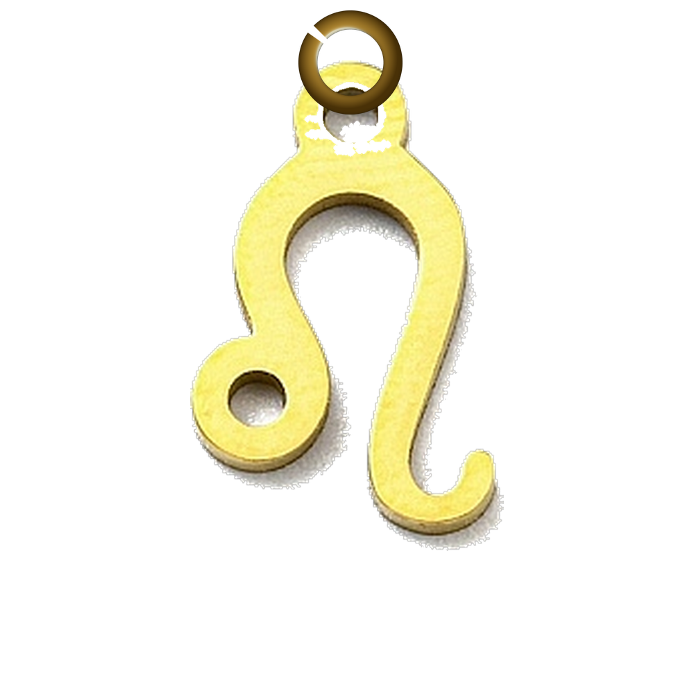 ENS-SYM003-LEO charm with jump ring