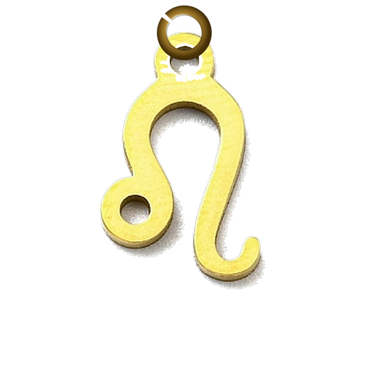 ENS-SYM003-LEO charm with jump ring