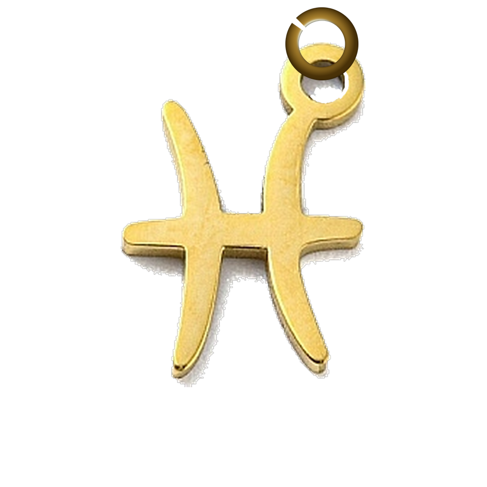 ENS-SYM003-PIS charm with jump ring