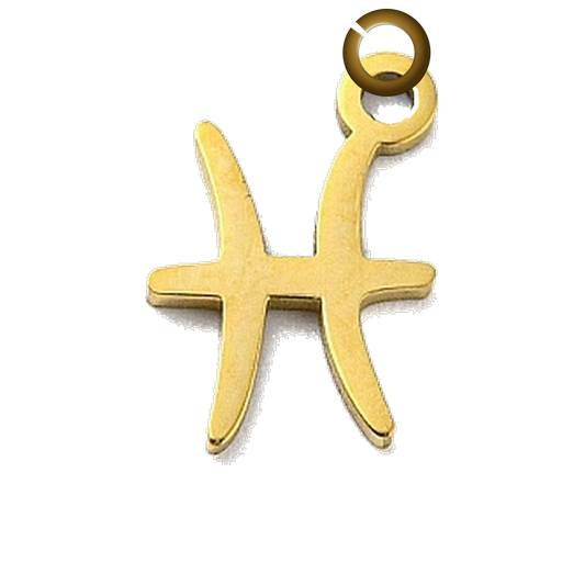 ENS-SYM003-PIS charm with jump ring