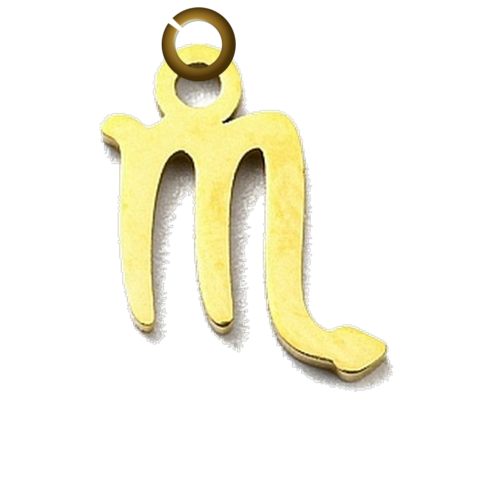 ENS-SYM003-SCO charm with jump ring