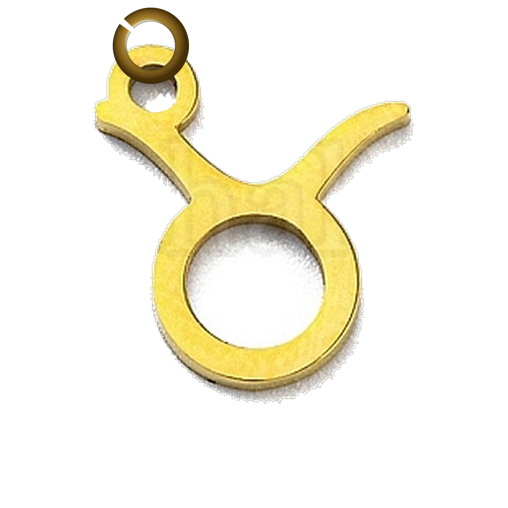ENS-SYM003-TAU charm with jump ring