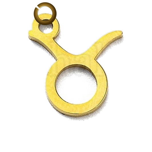 ENS-SYM003-TAU charm with jump ring