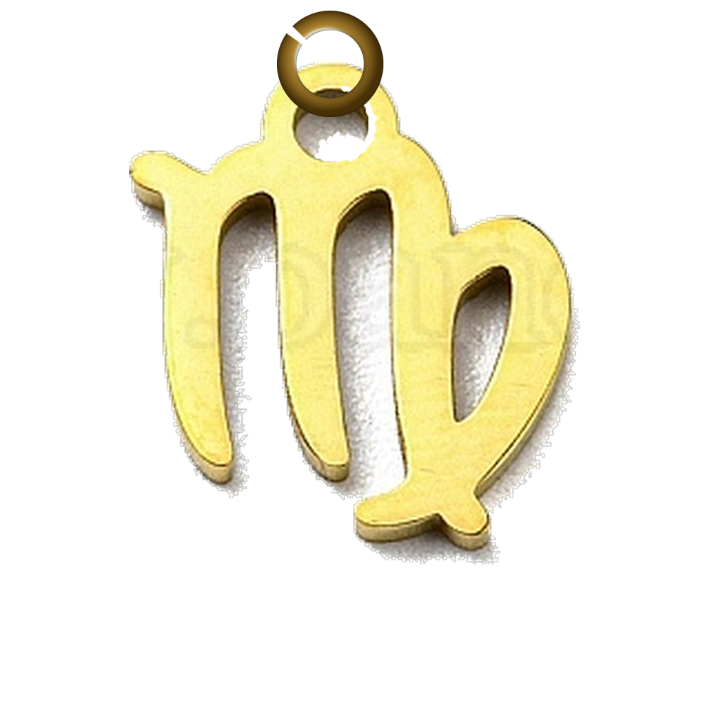 ENS-SYM003-VIR charm with jump ring