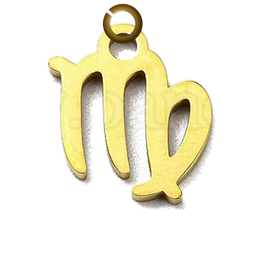 ENS-SYM003-VIR charm with jump ring