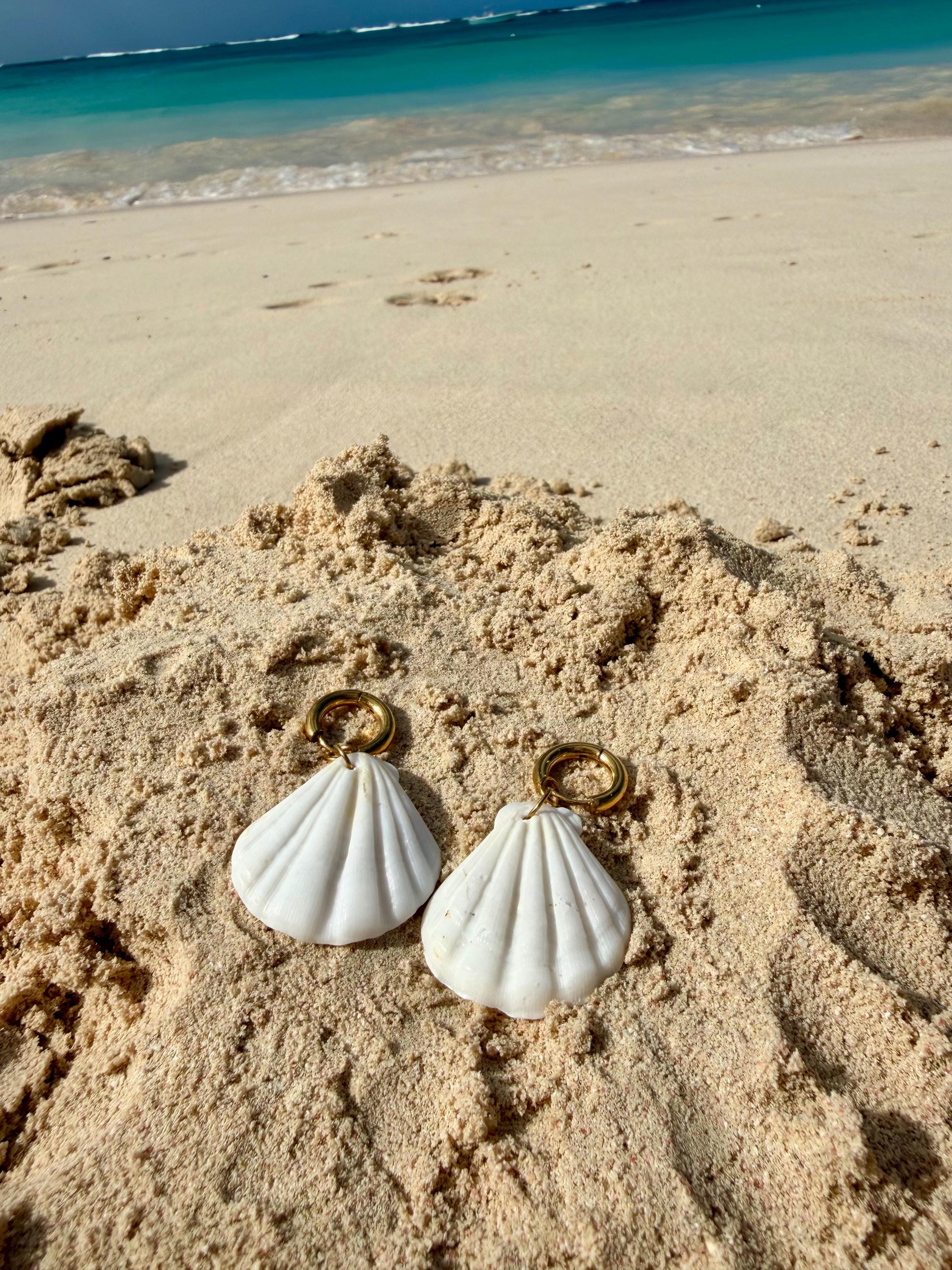 Seashell Statement Hoops | Stainless Steel Water Resistant Hoops | Beach Summer Ocean Earrings |