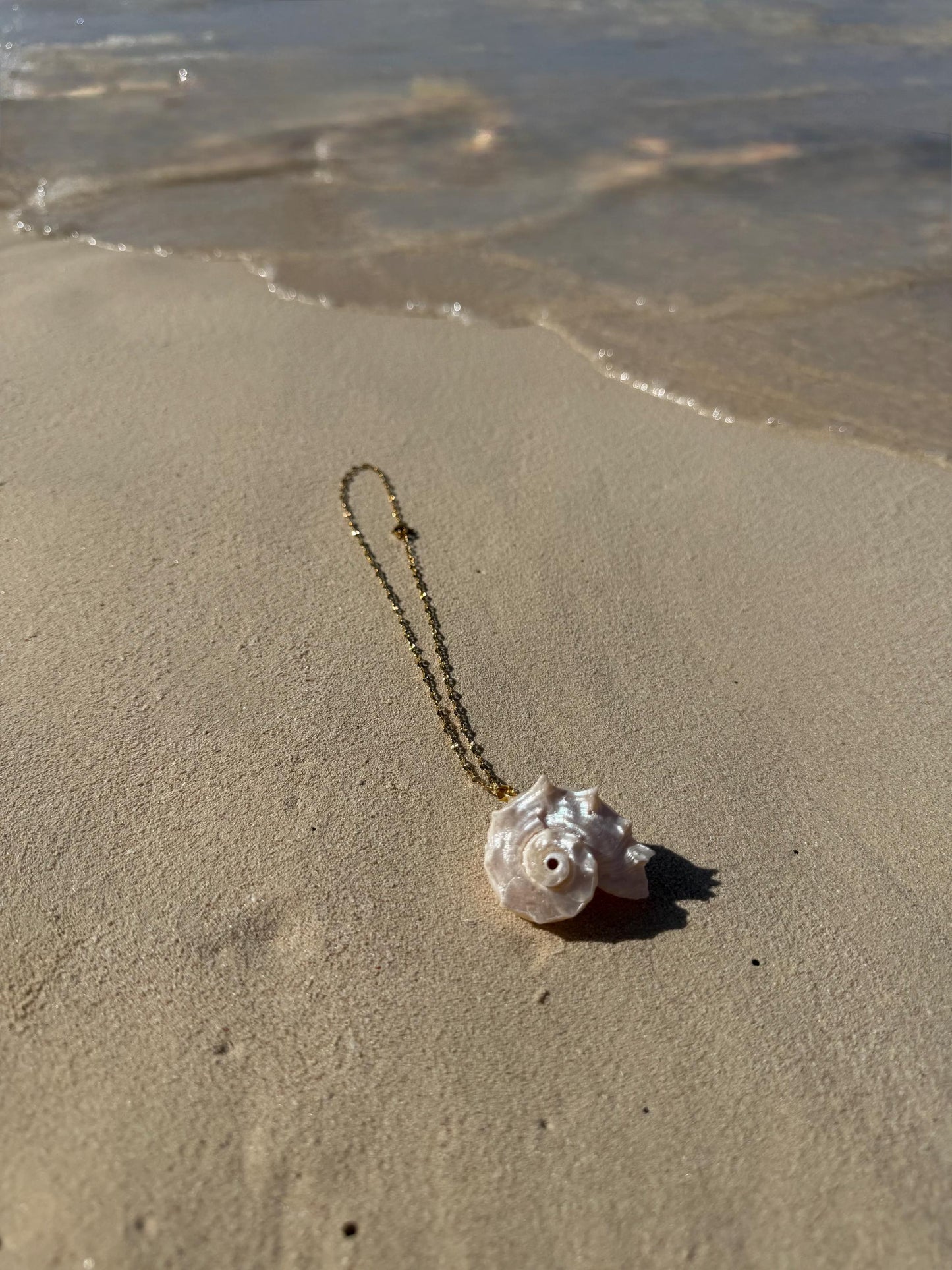 Shoreline Shell Pendant Necklace | Stainless Steel Water Resistant | Summer Ocean Shell Jewelry |
