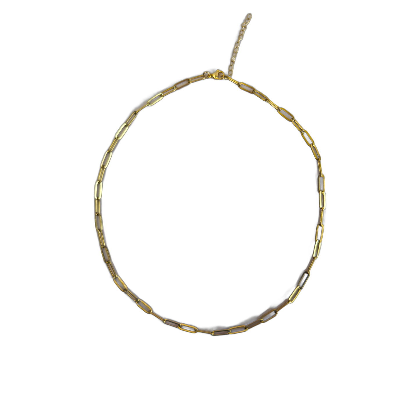 The Ivy